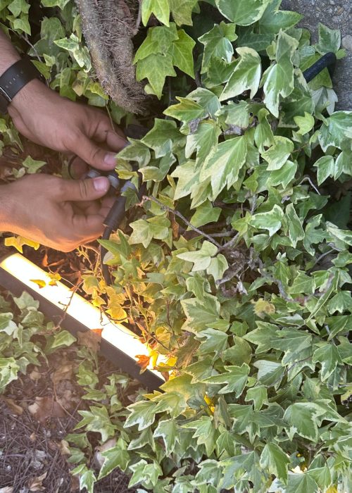 iluminación arquitectónica